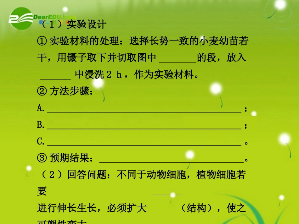 2011届高考生物-考点专题复习课件69_第2页