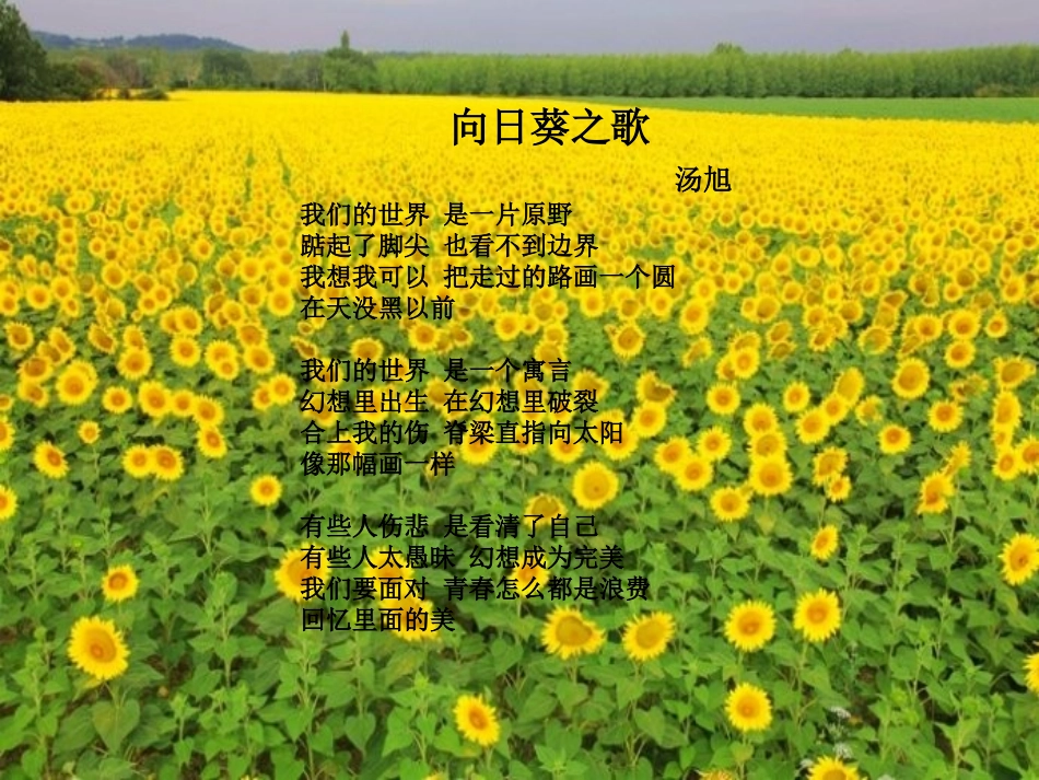 第一节旅游概述-(3)_第2页