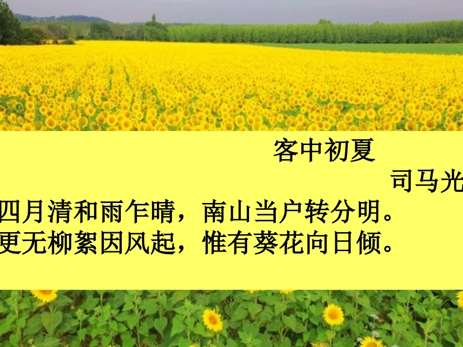 第一节旅游概述-(3)_第3页