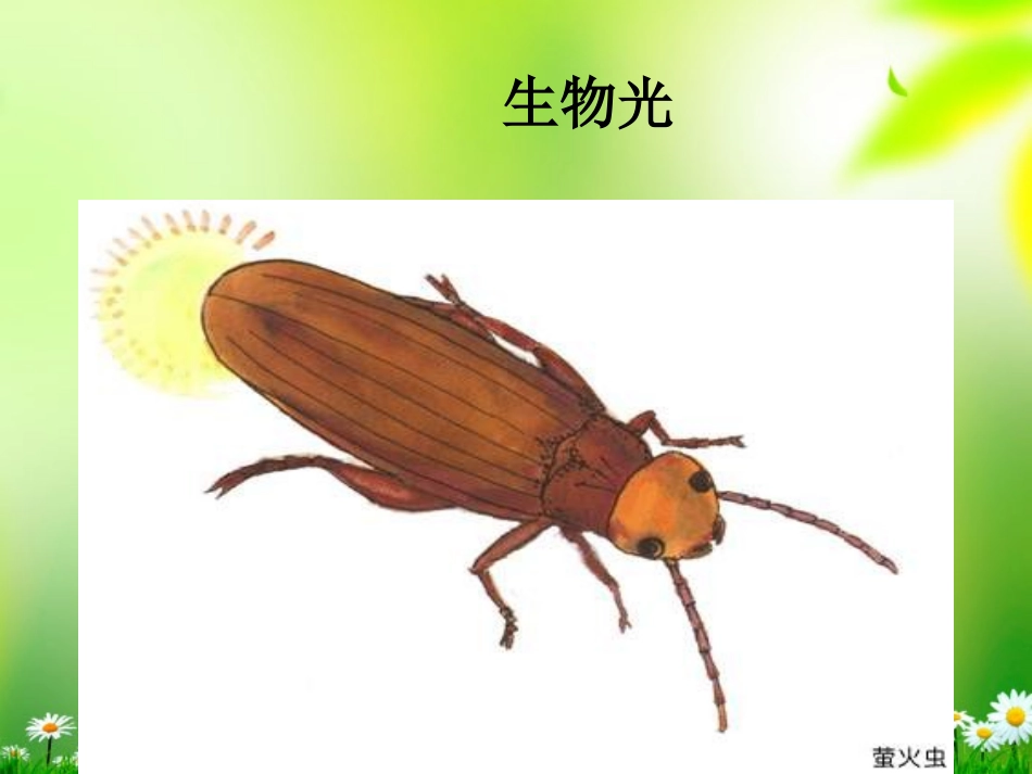 浙江省泰顺县新城学校八年级物理上册-光和颜色课件-新人教版_第3页
