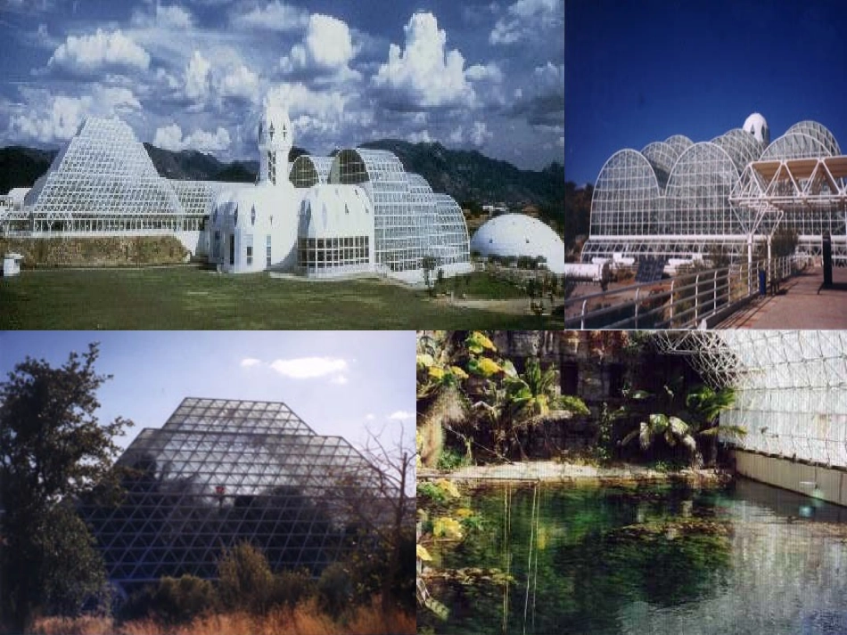 生物圈是最大的生态系统_第3页