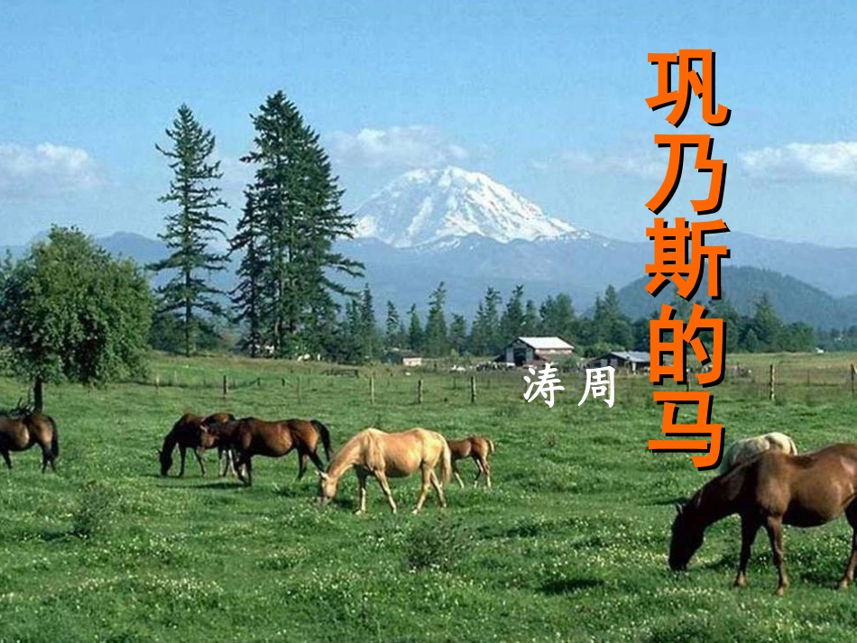 3、巩乃斯的马_第1页