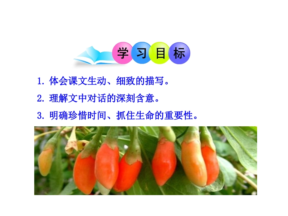 《三颗枸杞豆》课件5_第2页