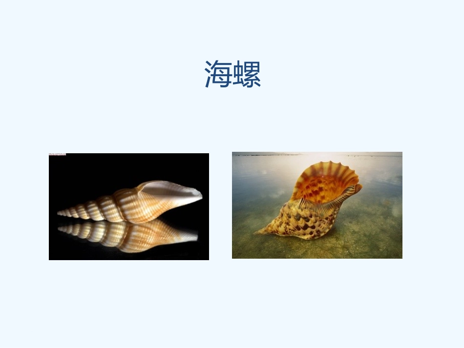 (部编)人教2011课标版一年级上册字词句运用-书写提示-日积月累-(2)_第3页