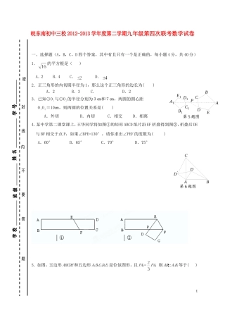 安徽省2013届九年级数学下学期第四次联考试题-沪科版