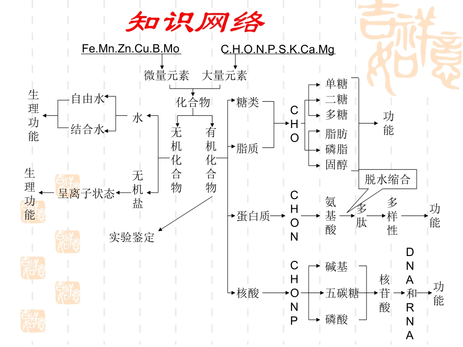 蛋白质的结构和功能_第2页