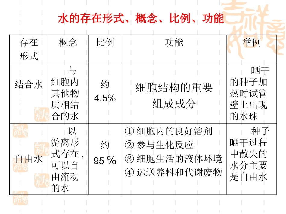 蛋白质的结构和功能_第3页