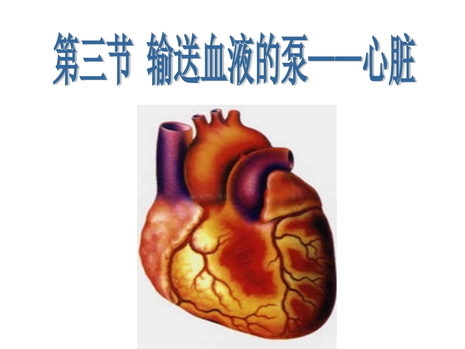 4.心脏的结构_第2页