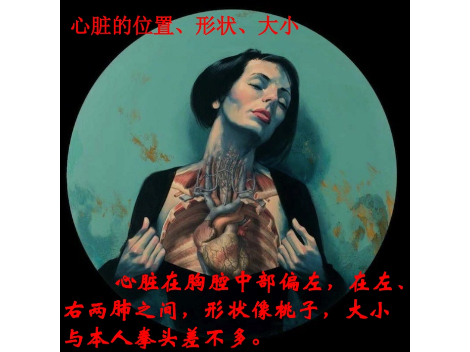 4.心脏的结构_第3页