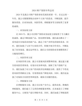 2024财产保险年终总结 