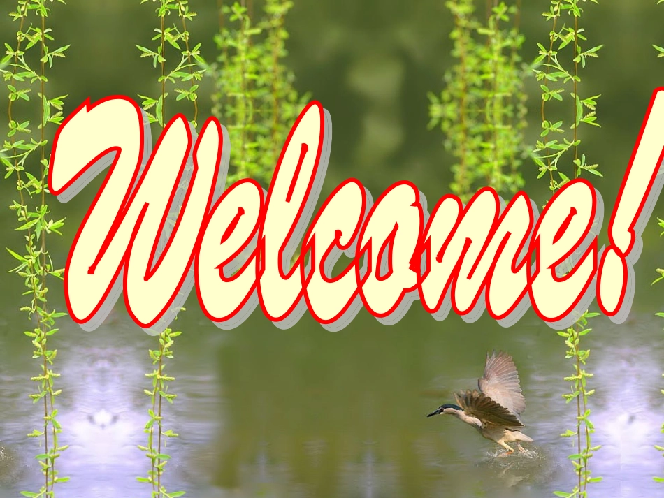 非限制性定语从句_第1页