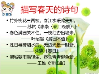 17-触摸春天