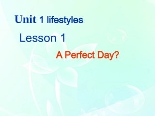 高中英语-Unit1-Lesson-1-A-perfect-day课件-北师大版必修1