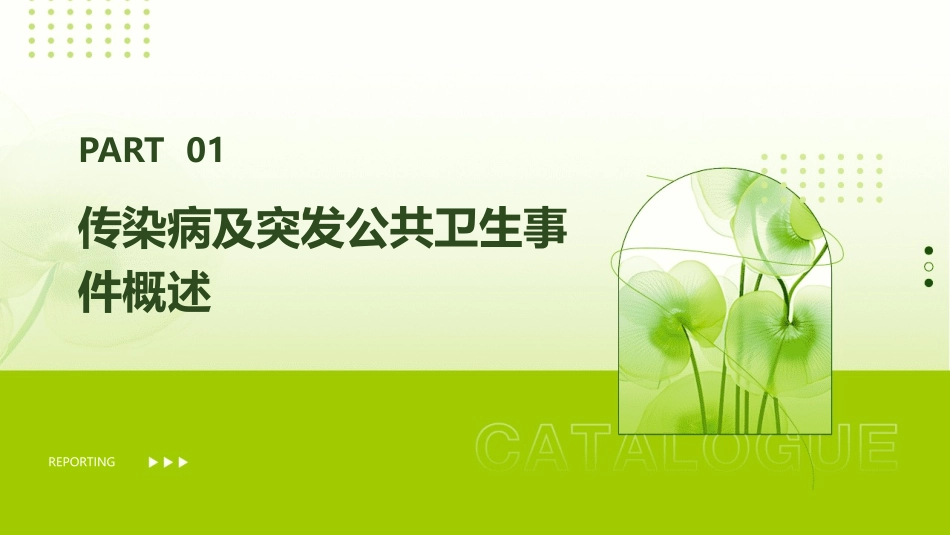 2024全新传染病及突发公共卫生应急预案_第3页