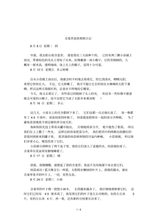 含羞草连续观察日记