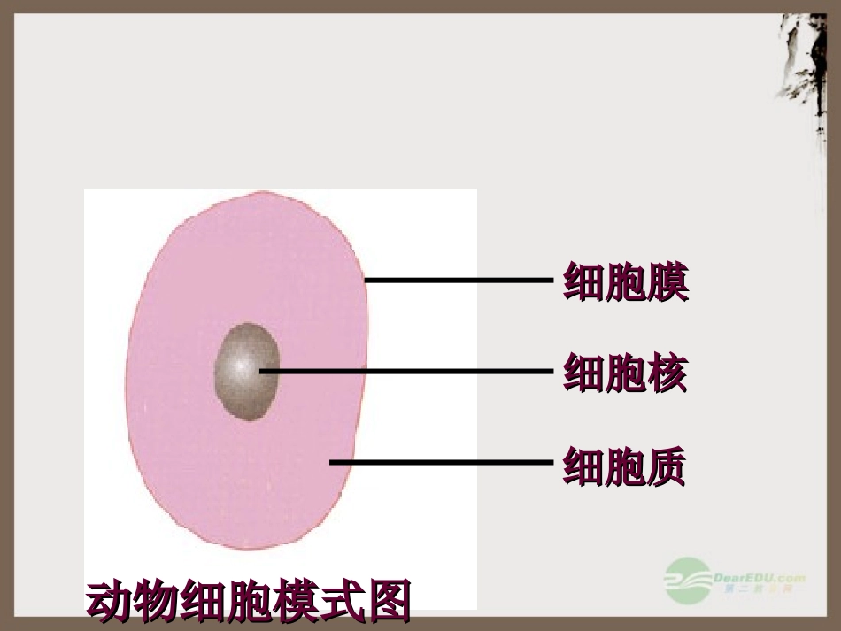 七年级生物上册-2.2.1《细胞的生活需要物质和能量》课件3-人教新课标版_第2页
