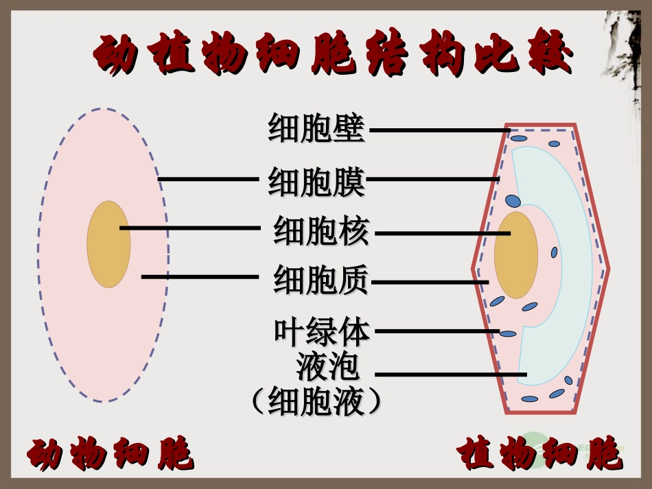 七年级生物上册-2.2.1《细胞的生活需要物质和能量》课件3-人教新课标版_第3页