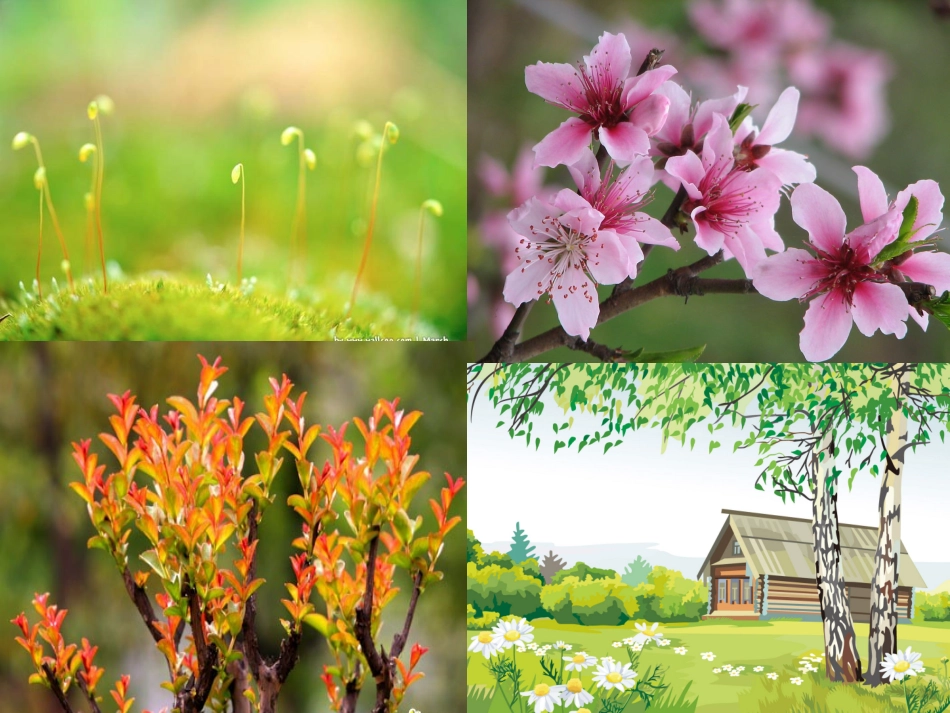 人教新课标二年级语文下册《找春天8》PPT课件_第1页