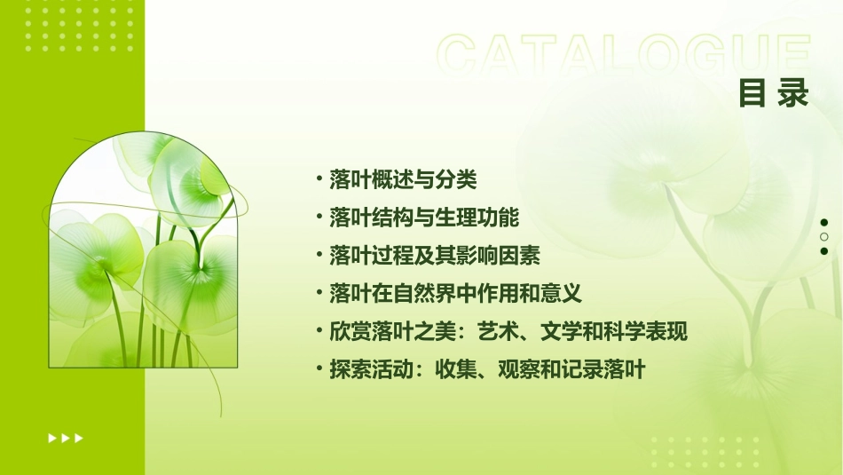 2024全新大班落叶ppt课件_第2页