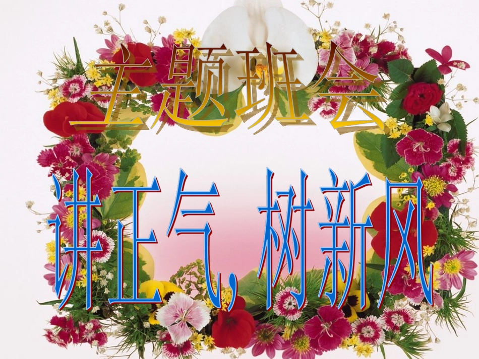 163讲正气树新风主题班会_第3页