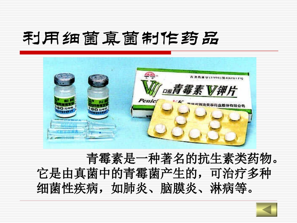 人对细菌和真菌的利用_第2页