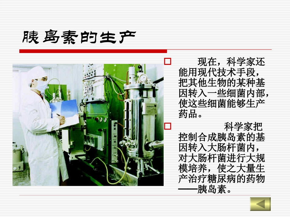 人对细菌和真菌的利用_第3页