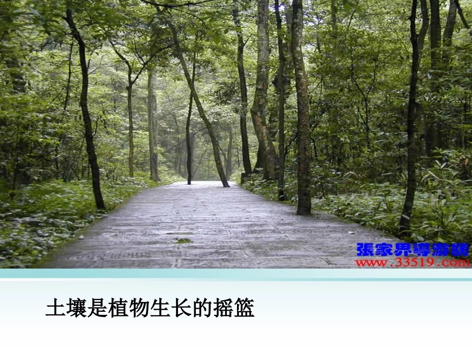浙江省诸暨市暨阳初中八年级生物《植物与土壤》课件_第2页