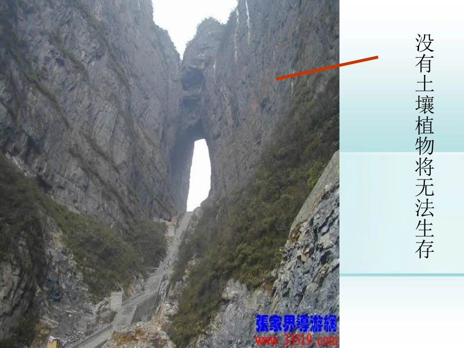 浙江省诸暨市暨阳初中八年级生物《植物与土壤》课件_第3页