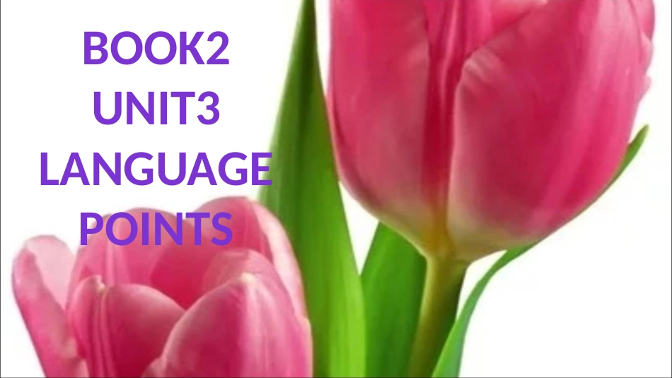 LearningaboutLanguage-(2)_第3页