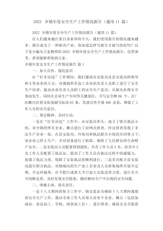 2022乡镇年度安全生产工作情况报告(真题11篇)