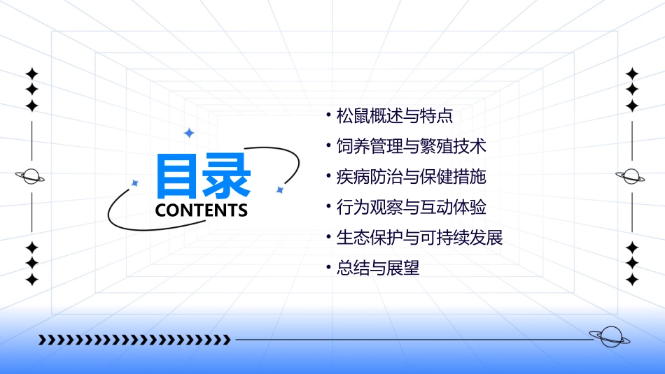 2024全新松鼠_第2页