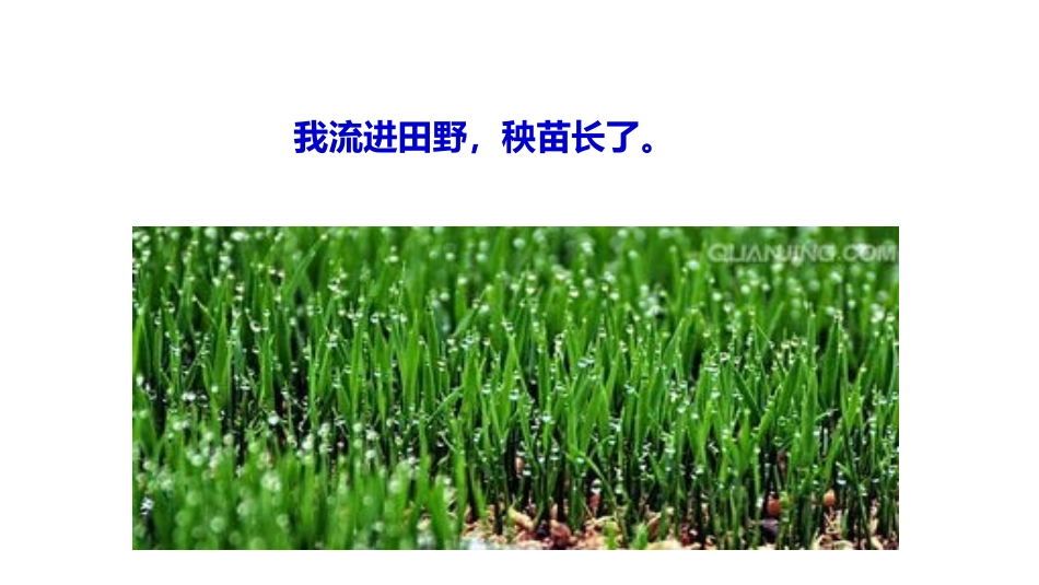 9小水滴的诉说_第2页