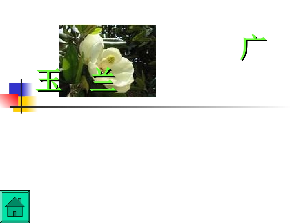 18《广玉兰-》-(1)_第1页