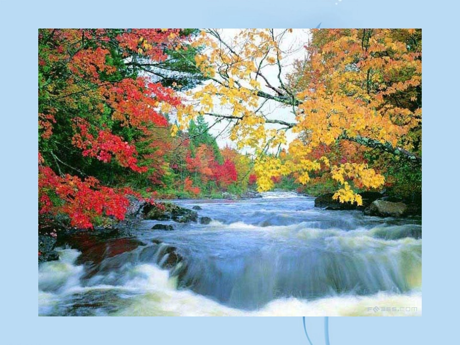 云南省祥云县禾甸中学七年级语文上册-秋天课件-新人教版_第2页