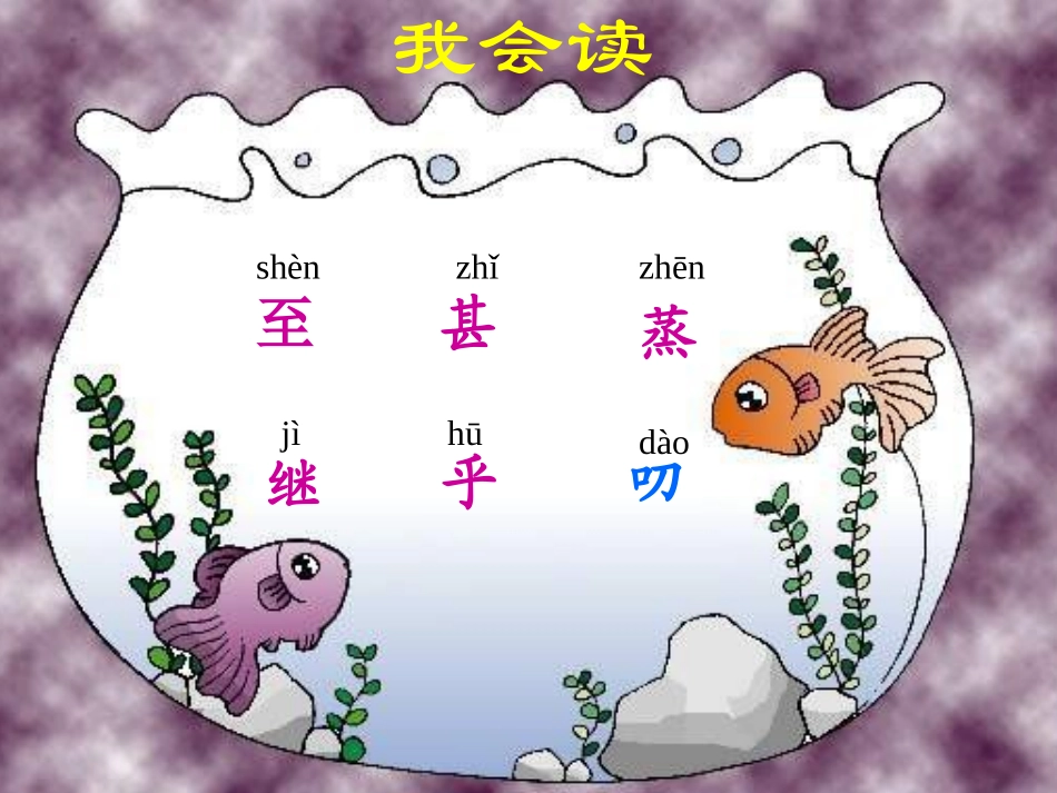 《浅水洼里的小鱼》课件3_第2页