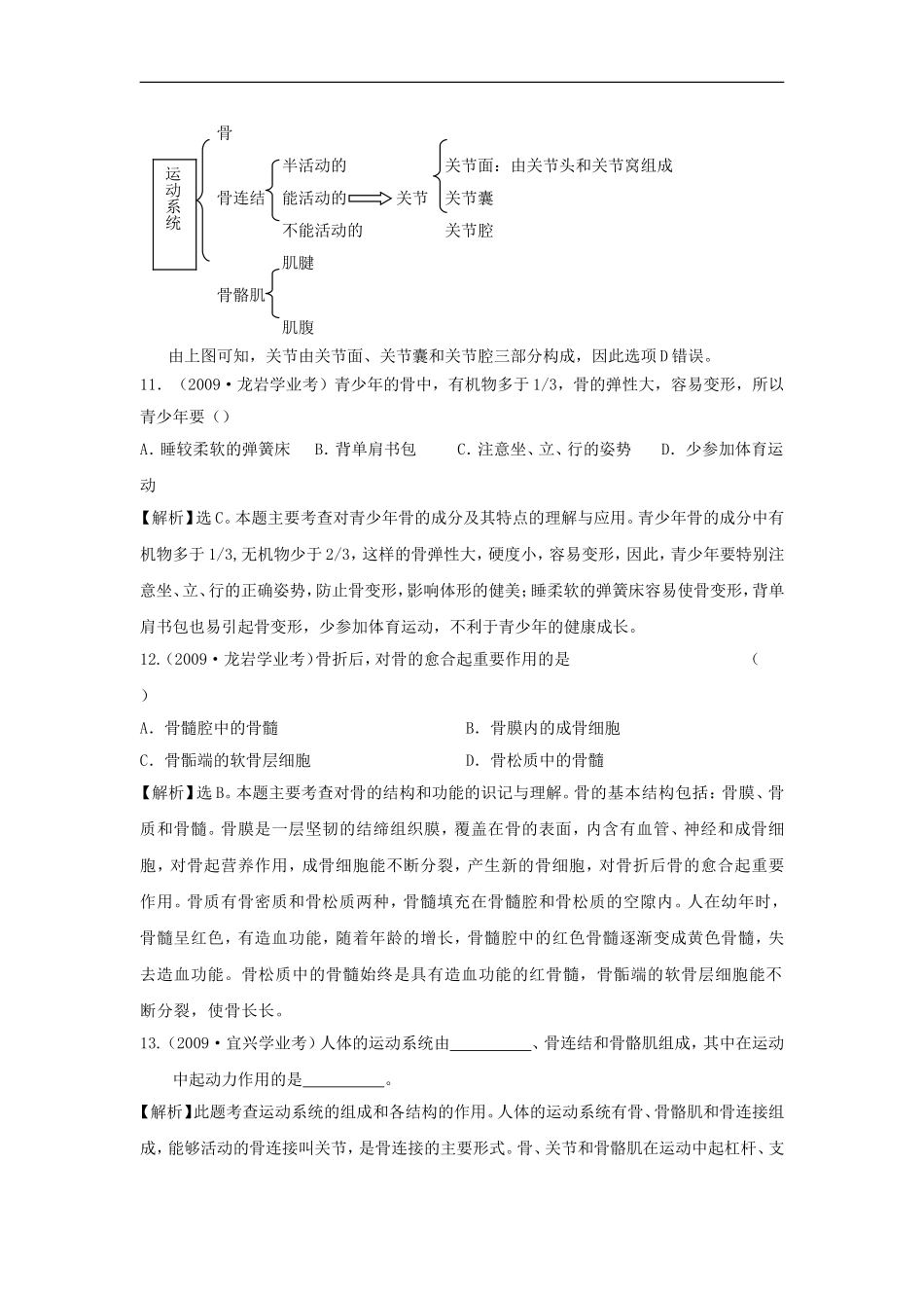 江苏省东海县青湖中学2012年中考生物一轮专题复习-八年级上册-动物的运动-苏科版_第3页