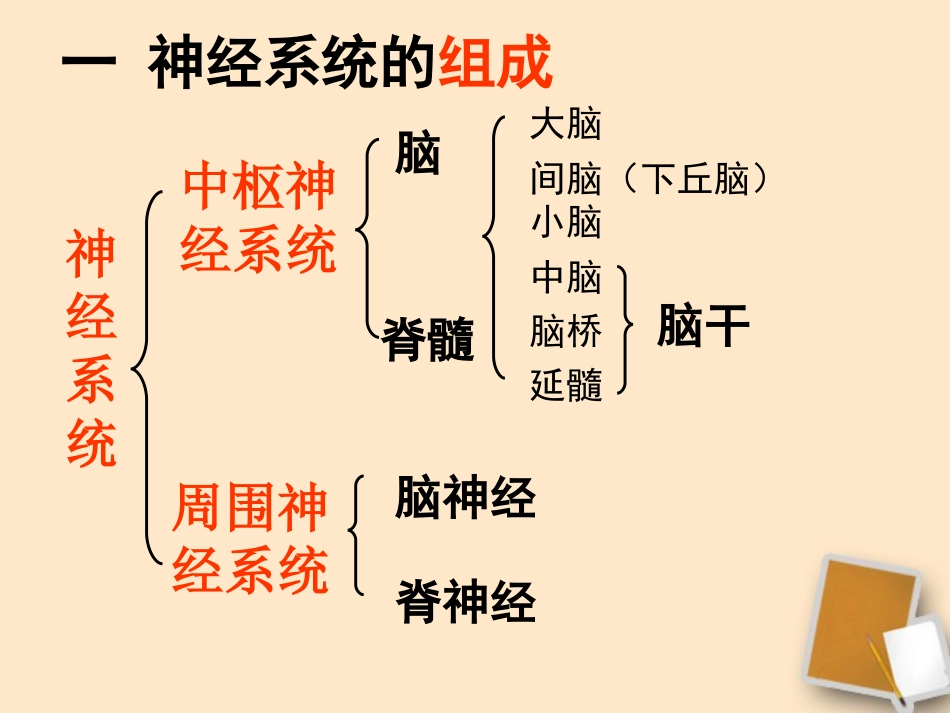 浙江省温州市龙湾中学八年级生物《神经调节》课件1_第2页
