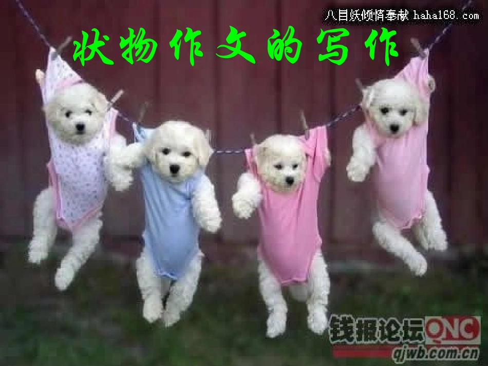 状物作文指导_第1页