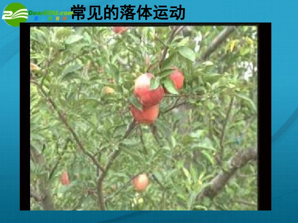 高中物理-自由落体运动课件-新人教版必修1_第3页
