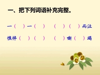 《母亲的呼唤》习题