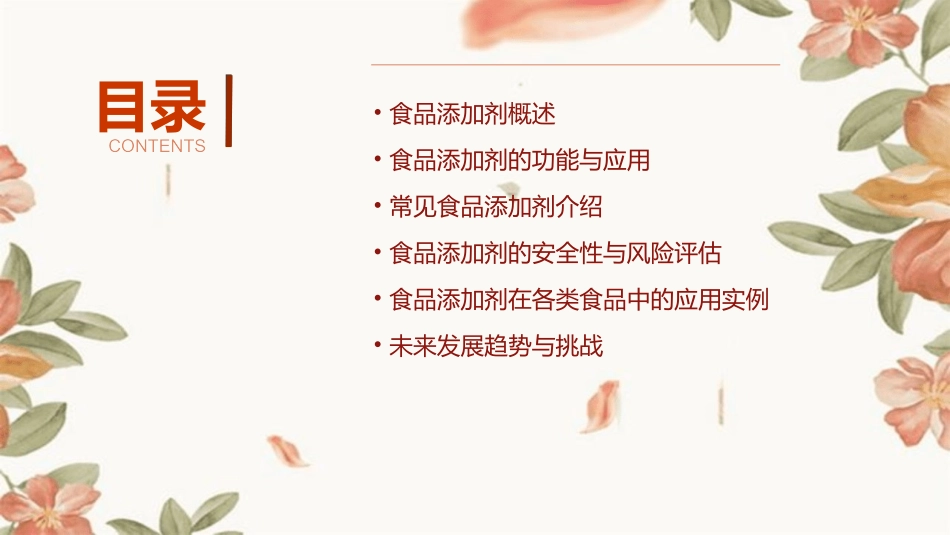 2024全新食品添加剂ppt课件_第2页