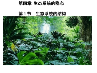 生物与环境构成生态系统-(2)