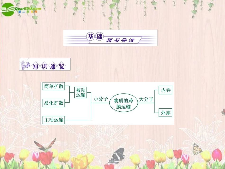 《金版》高中生物-第三单元-第三节物质的跨膜运输课件-苏教版必修1_第3页
