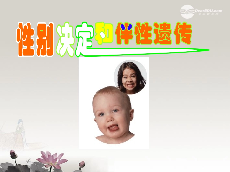 陕西地区2012高中生物复习资料-伴性遗传1课件-新人教版必修2_第1页