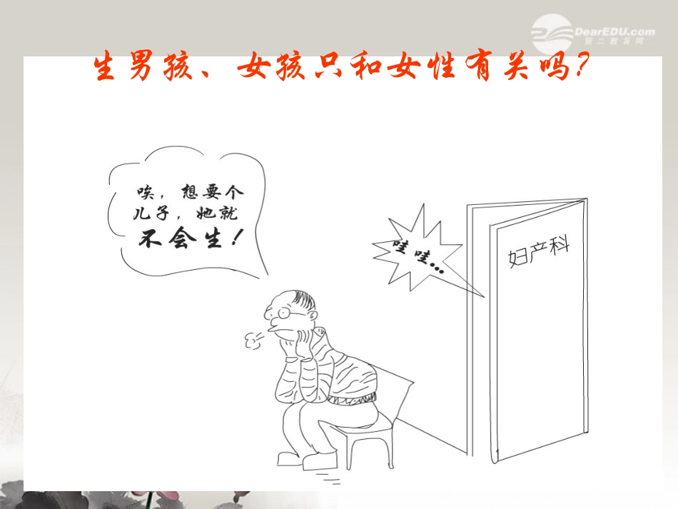 陕西地区2012高中生物复习资料-伴性遗传1课件-新人教版必修2_第2页