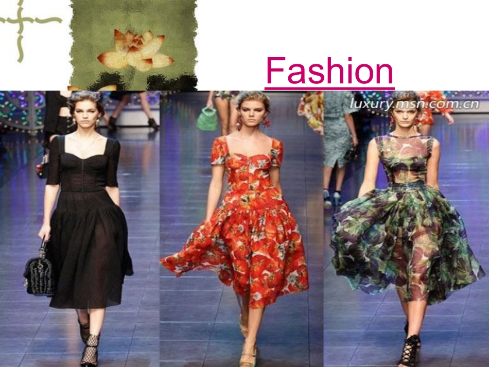 FurtherReadingFashion_第1页