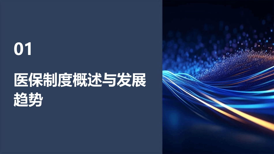 2024医保知识培训ppt全新_第3页