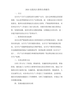 2024安监局大督查自查报告