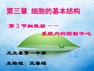 第四节细胞核-(3)