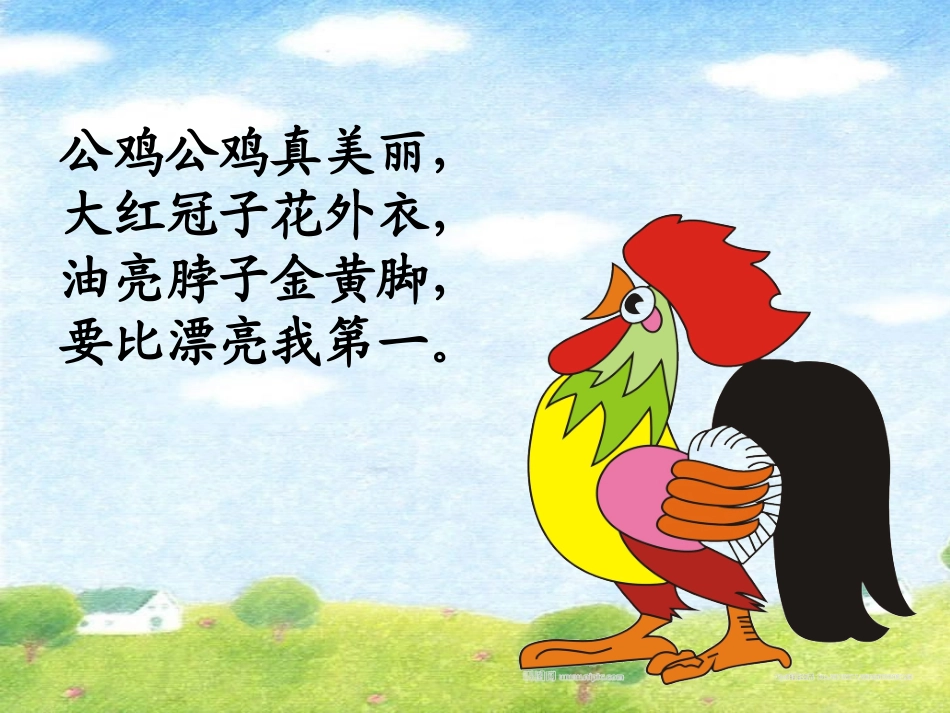 14美丽的公鸡_第3页